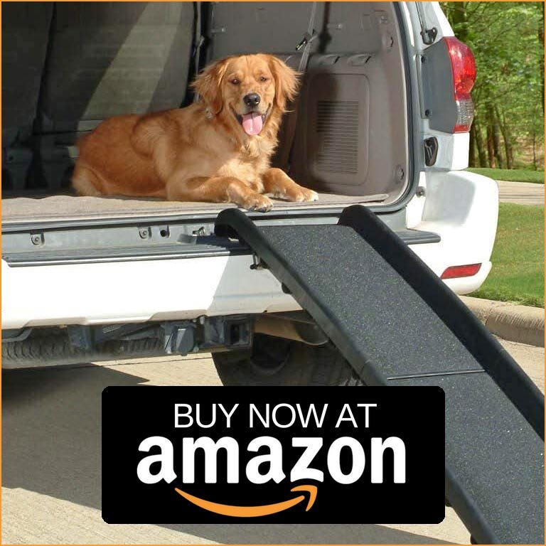 Buy dog ramps on Amazon