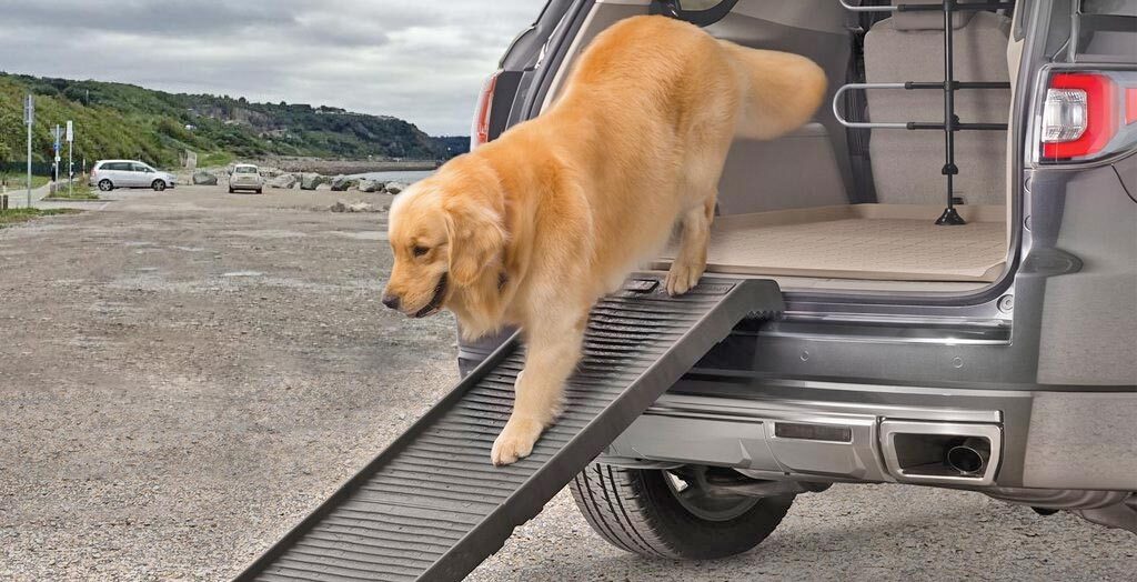 Dog ramps